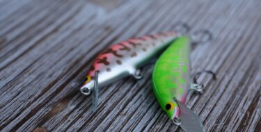 WooDream Arbor50S